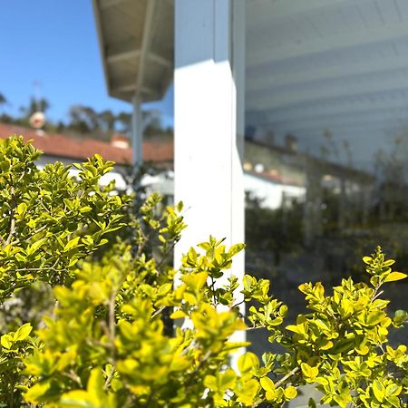 Le Village Sarzana Zewnętrze zdjęcie